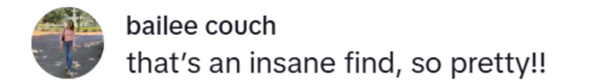 Image Source: TikTok | @bailee.co