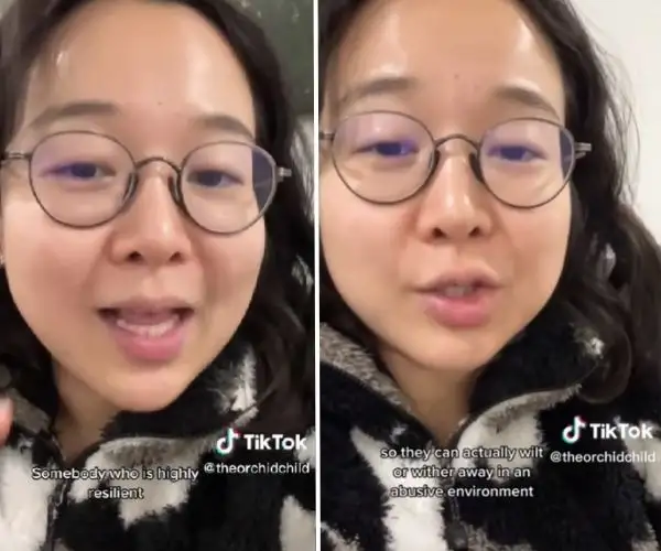Image Source: TikTok/ @theorchidchild