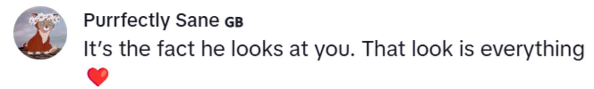 Image Source: TikTok | @purrfectly.sane