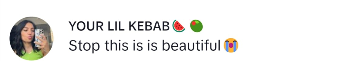 Image Source: TikTok | @your_lil_kebab