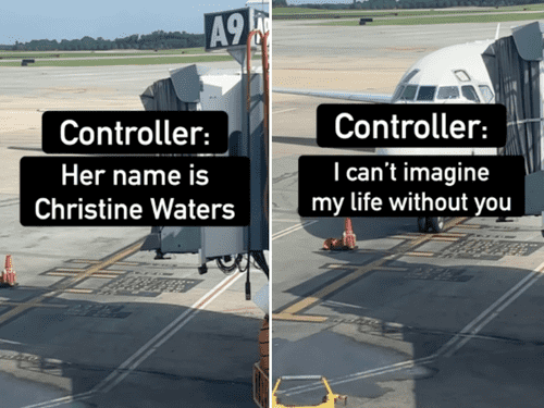 Image Source: Reddit