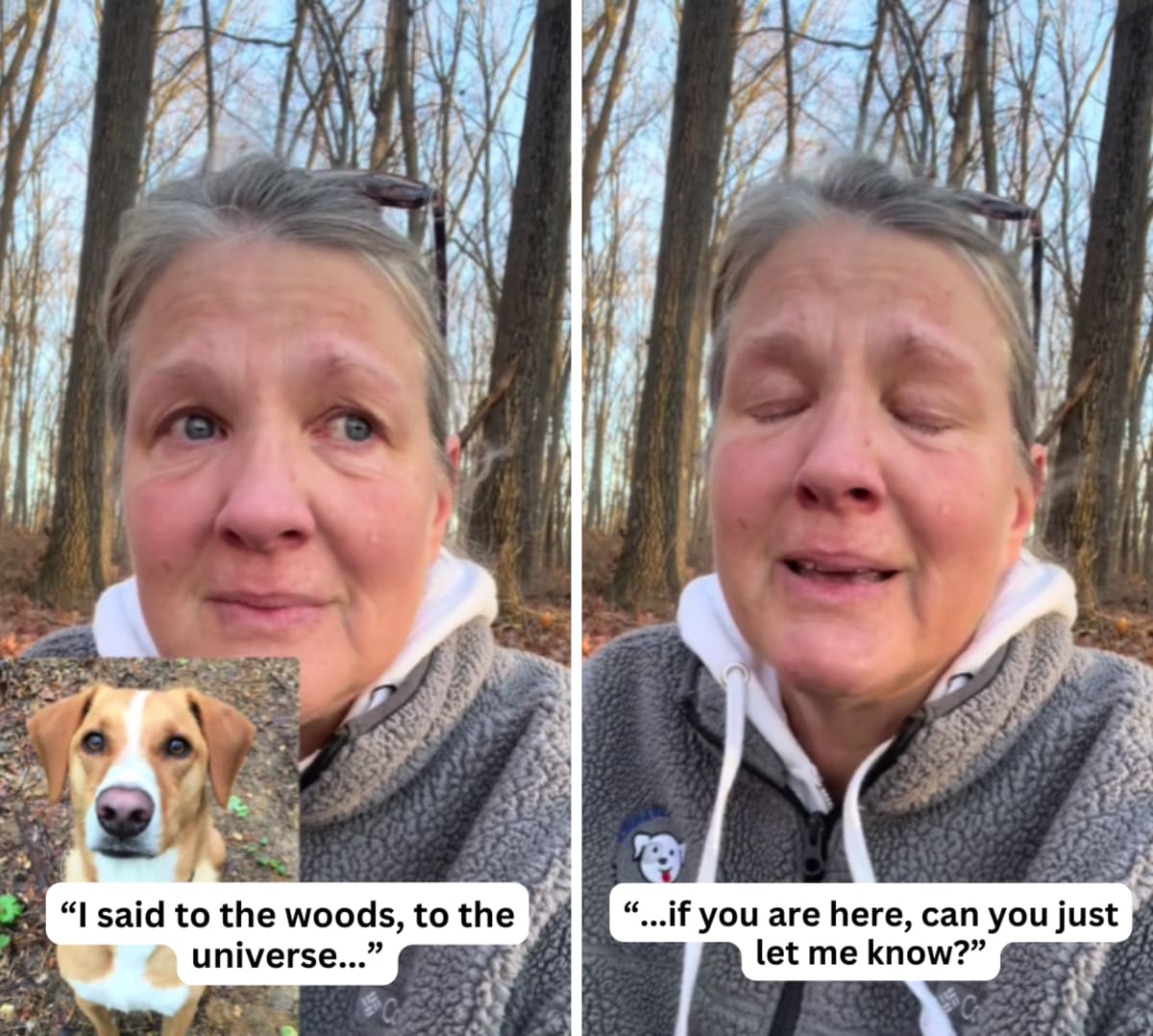 Image Source: TikTok | @amymaurercreel