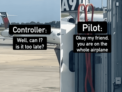 Image Source: Reddit