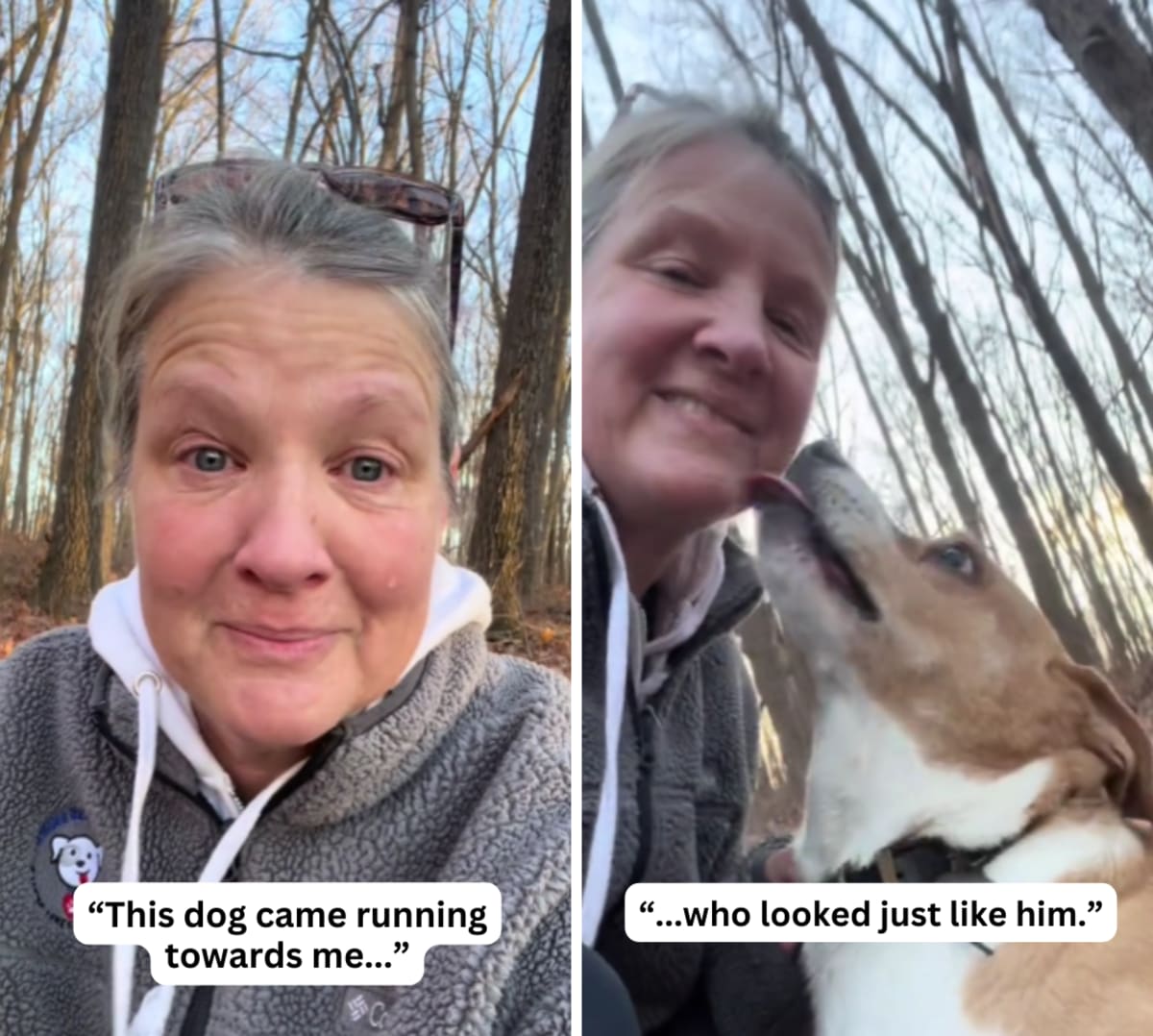 Image Source: TikTok | @amymaurercreel