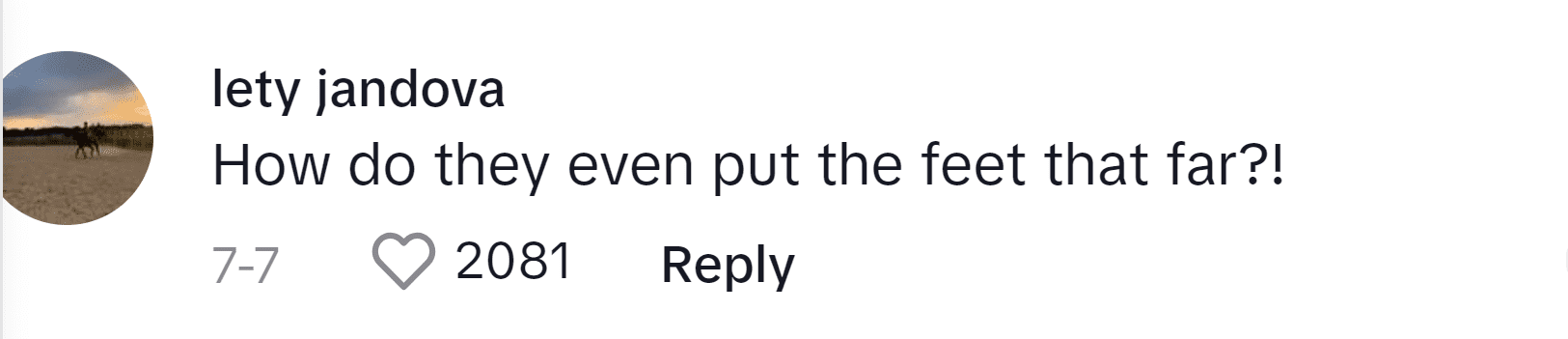 Image Source: TikTok/@letyjandova4