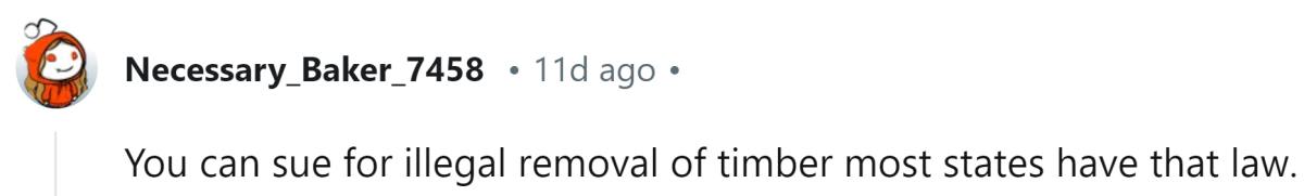 Image Source: Reddit | u/Necessary_Baker_7458