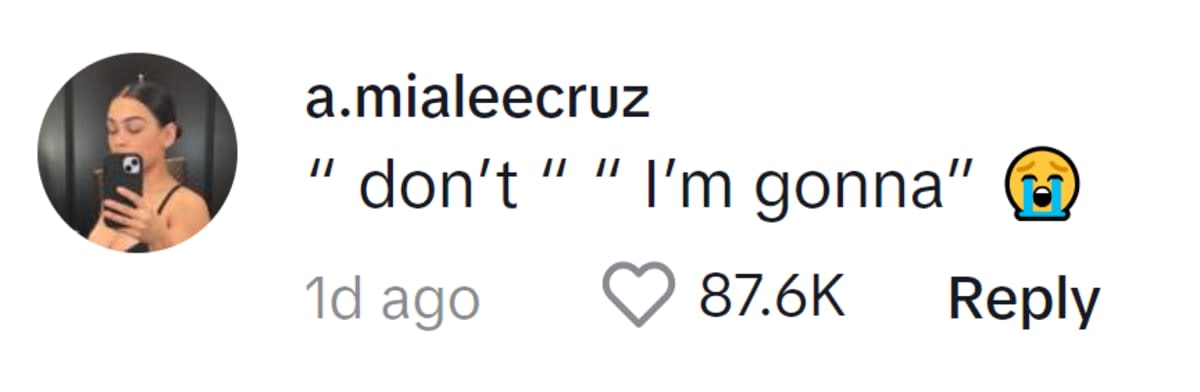 Image Source: TikTok| @amia._cruz