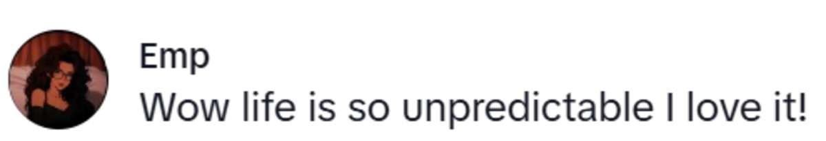 Image Source: TikTok | @emsanta1234