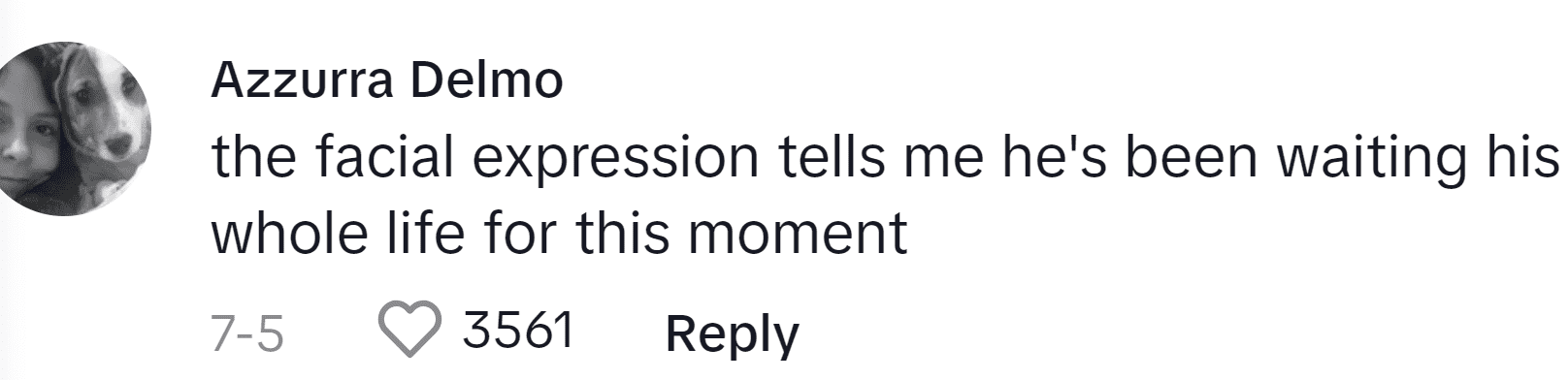 Image Source: TikTok/@azzurradelmo