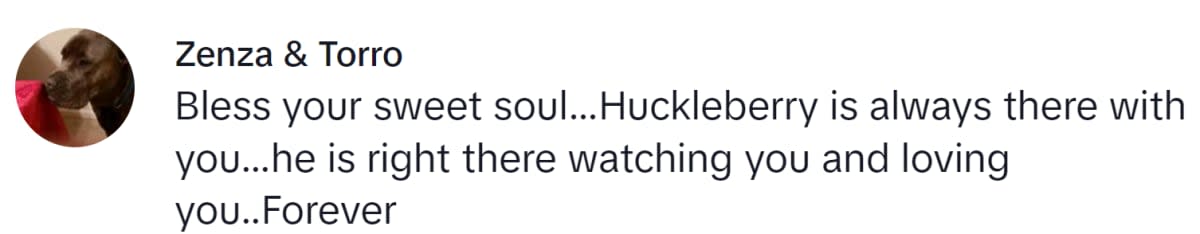 Image Source: TikTok | @sandyb4839