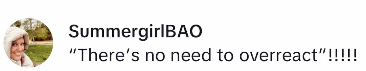 Image Source: TikTok | @summergirlbao