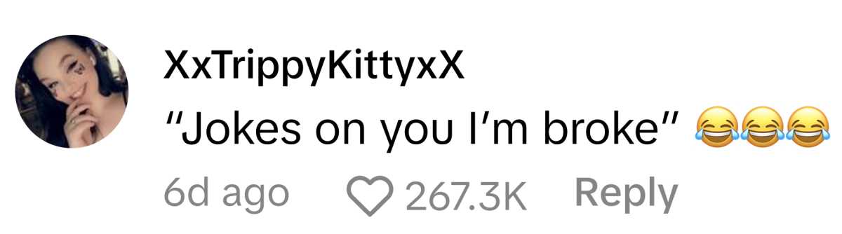 Image Source: TikTok | @xxtrippykittyxx