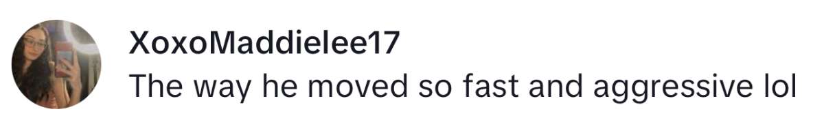 Image Source: TikTok | @xoxomaddielee17