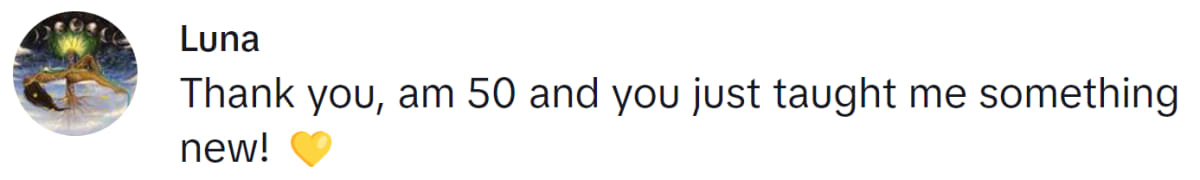 Image Source: TikTok | @lunamaiden74