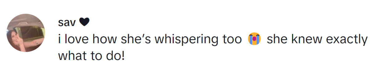 Image Source: TikTok | @savhndrx