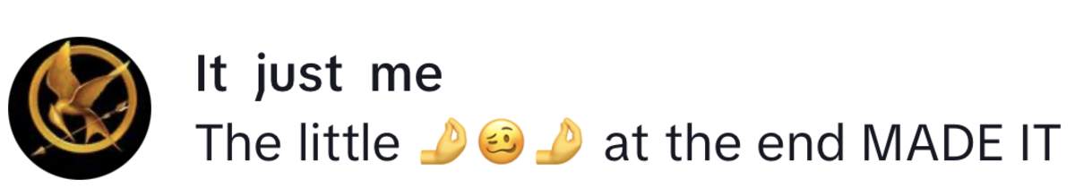 Image Source: TikTok | @itjustme