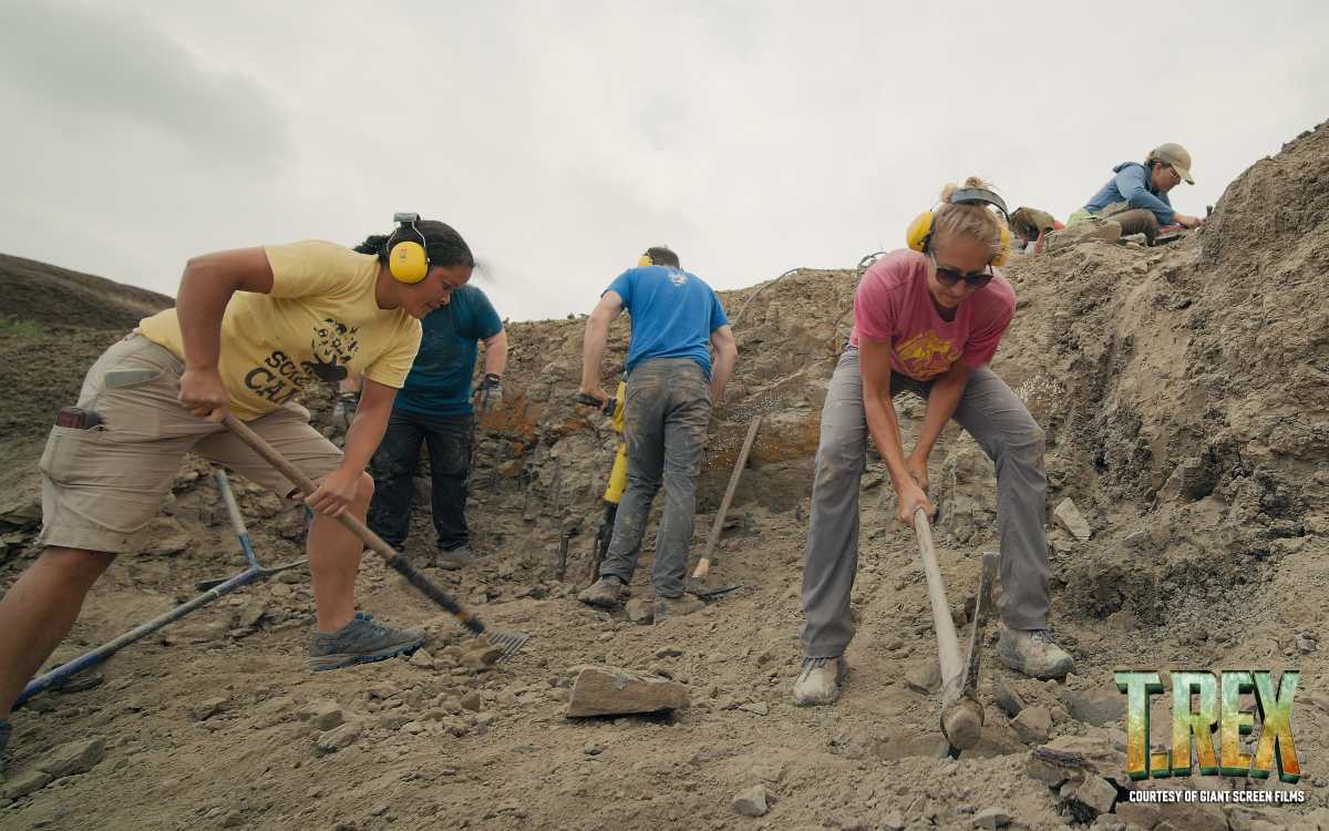 Image Source: An expedition team from the Denver Museum of Nature and Science works hard to excavate the T. rex specimen as seen in the documentary T REX | Giant Screen Films