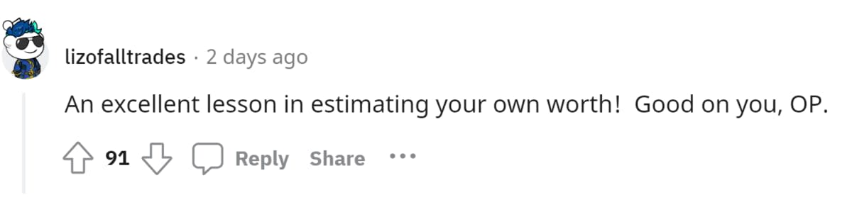 Image Source: Reddit/u/lizzofalltrades