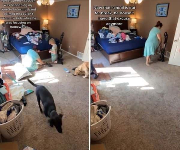 Image Source: TikTok/@5kids5catssomedogstoo