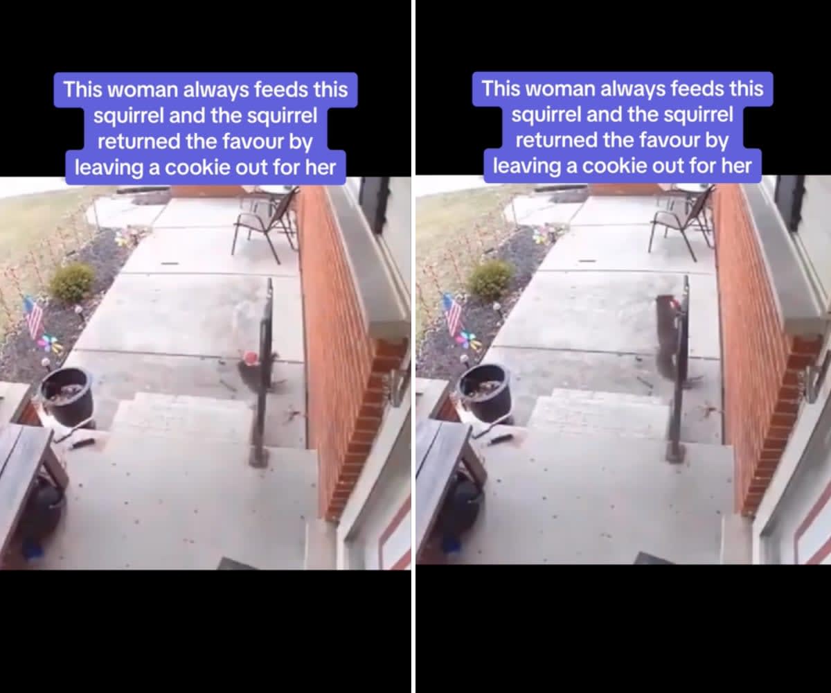 Image Source: TikTok | @ethznn