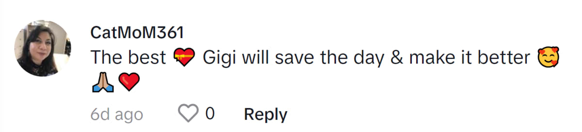 Image Source: TkTok|@CatMom361