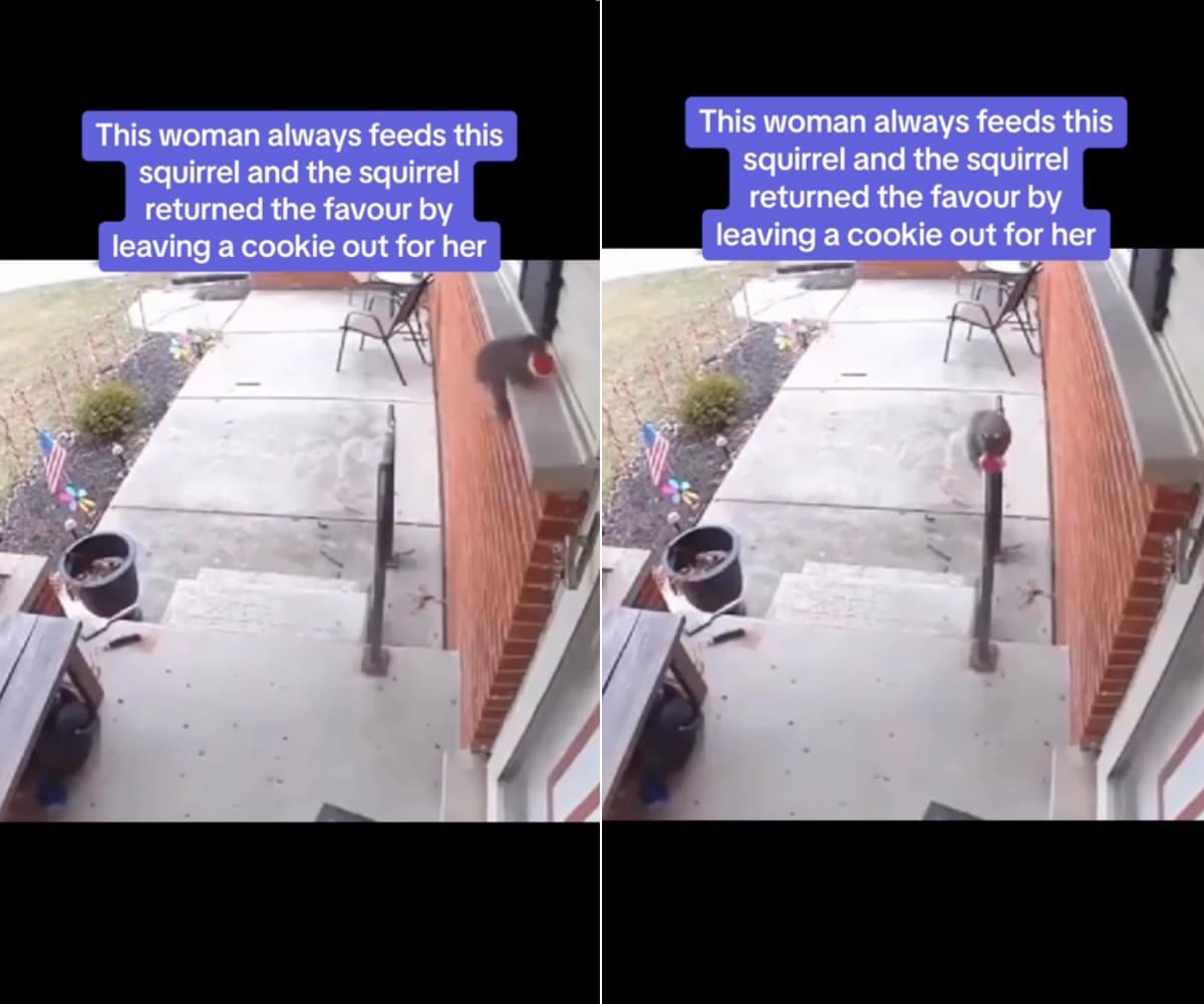 Image Source: TikTok | @ethznn