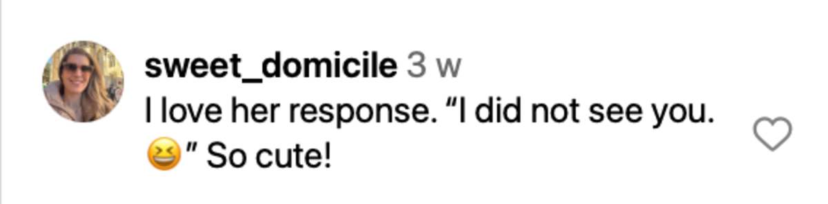 Image Source: Instagram | @sweet_domicile