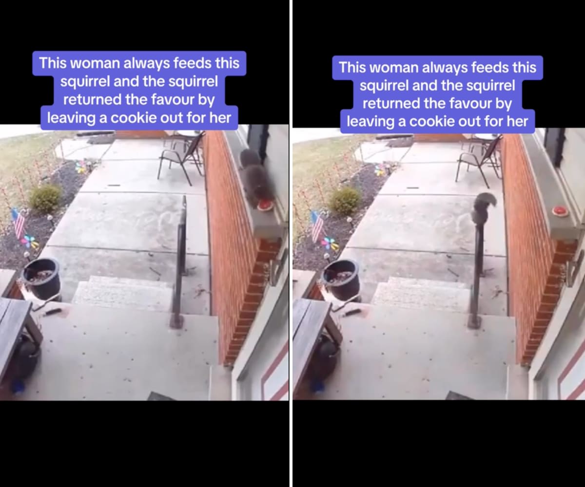 Image Source: TikTok | @ethznn