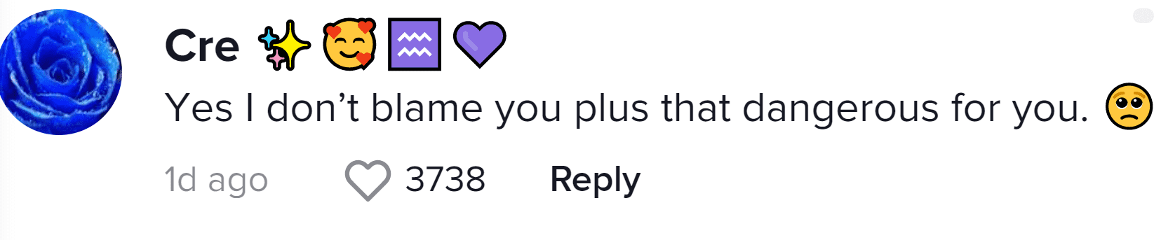 Image Source: TikTok / @danisodope