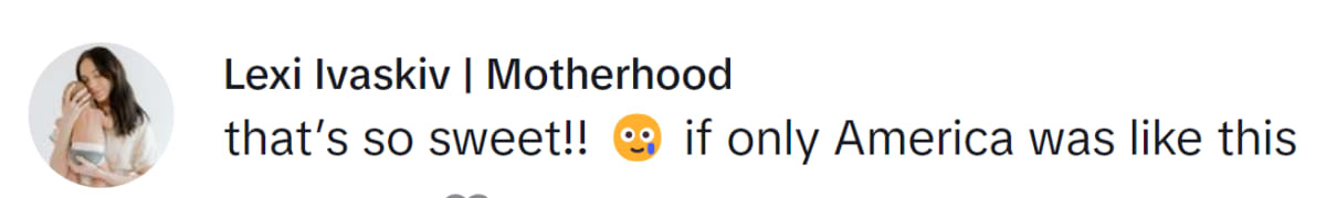 Image Source: TikTok | @lexiivaskiv