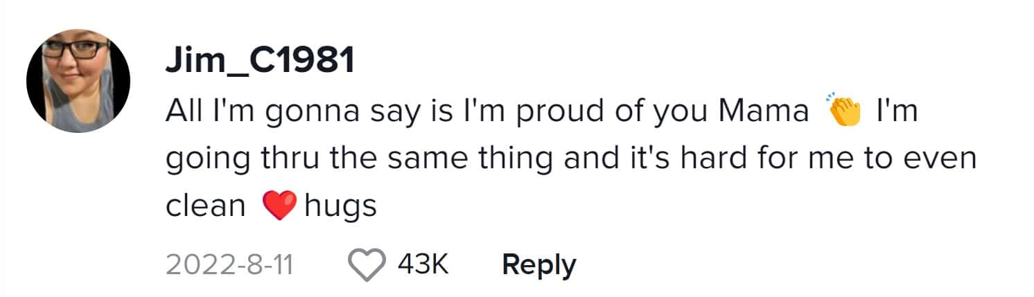 Cover Image Source: TikTok/@5kids5catssomedogstoo