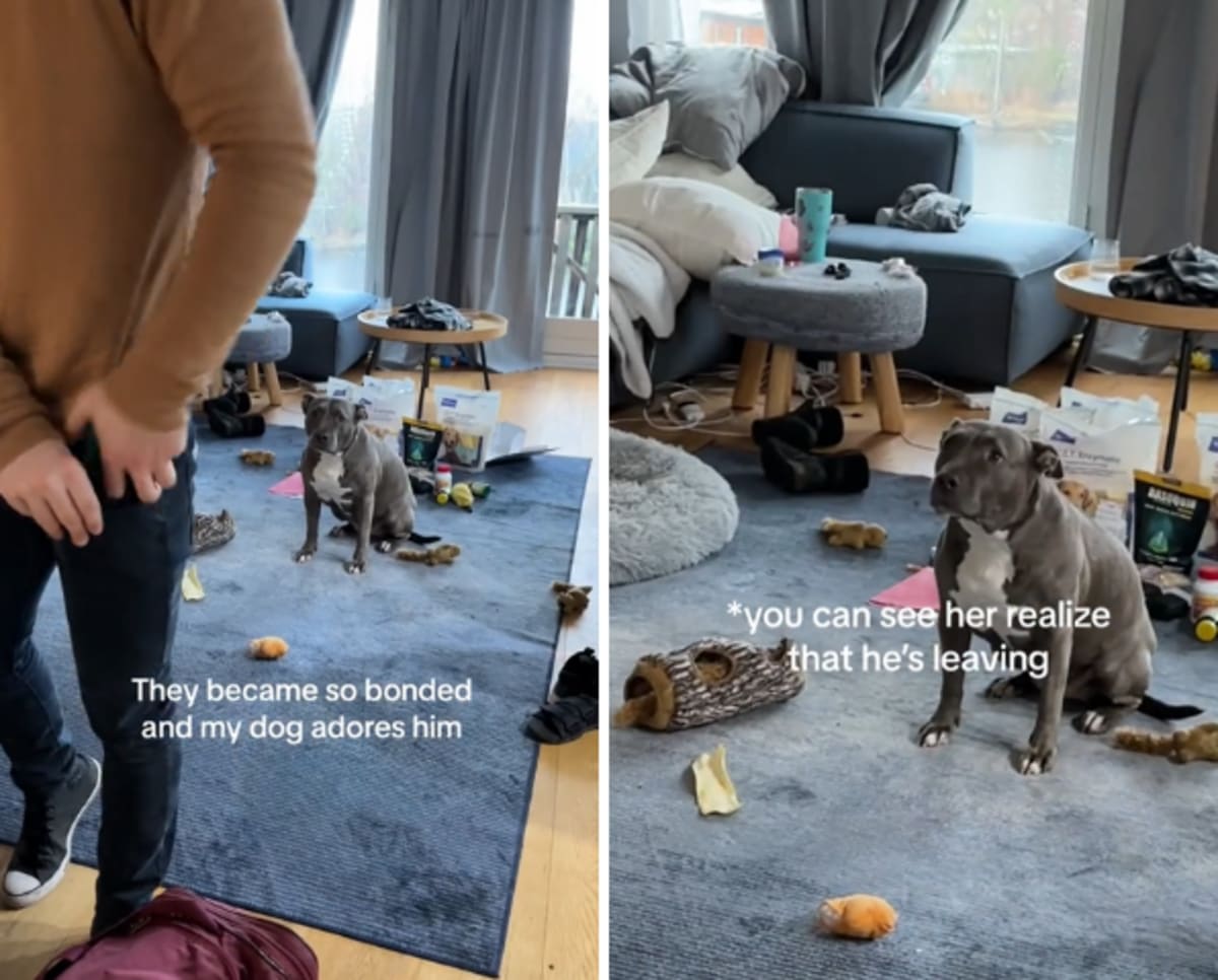 Image Source: TikTok| @maggiepotamus_