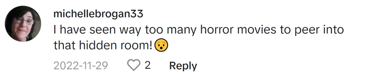 Image Source: TikTok|@michellebrogan33