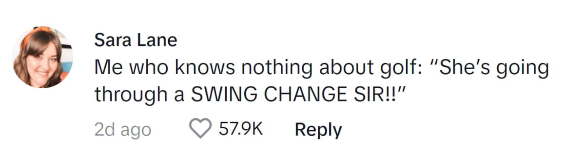 Image Source: TikTok|@saralane_