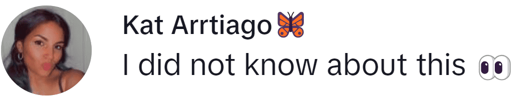 Image Source: TikTok/@kkattteye