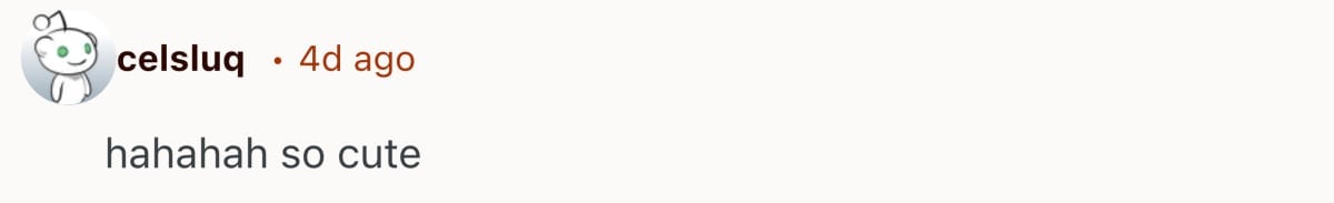 Image Source: Reddit | u/celsluq