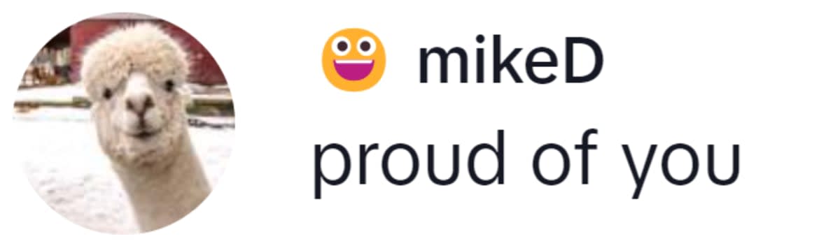 Image Source: TikTok | @miked20