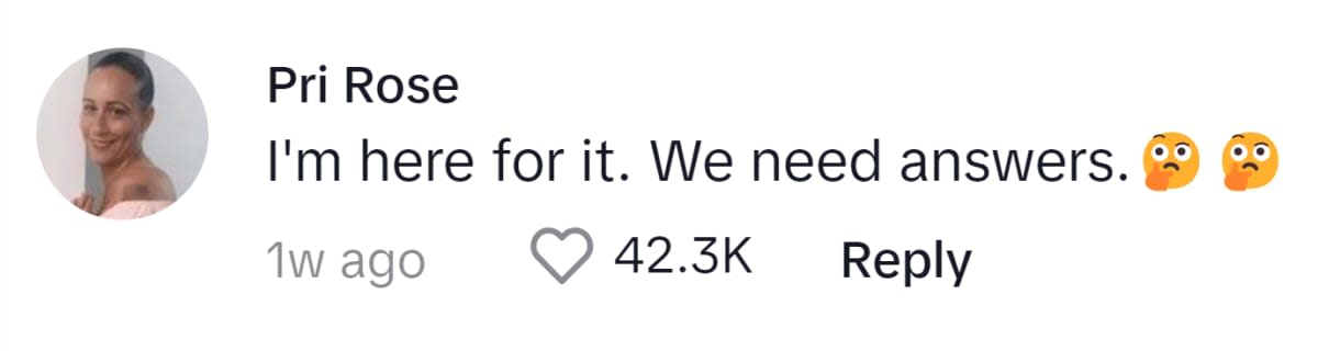 Image Source: TikTok/@pri.rose1